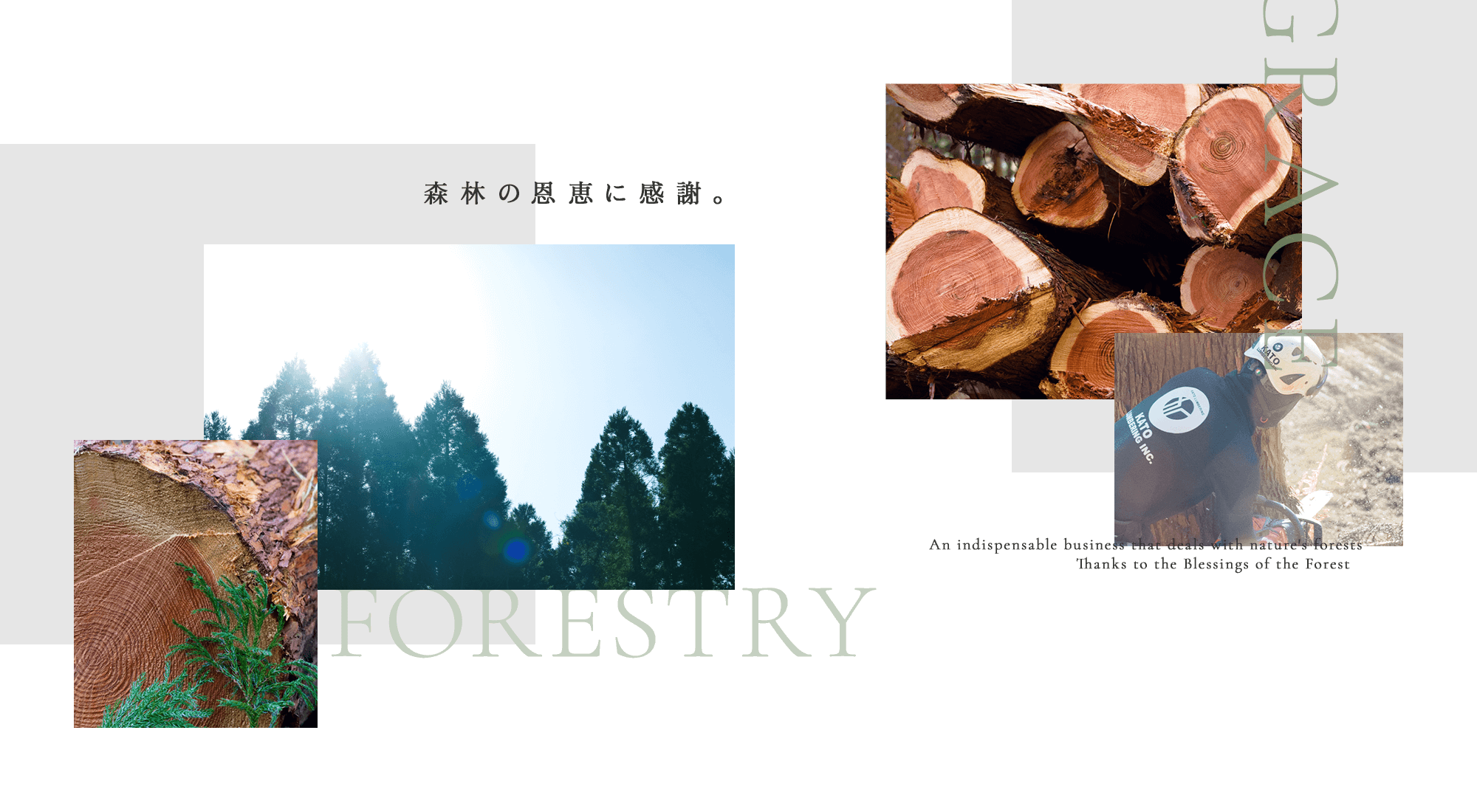 株式会社加藤木材